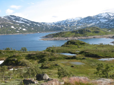 norsko9.jpg